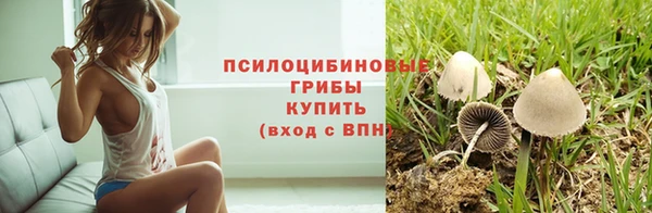 герыч Абаза