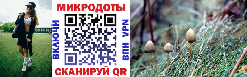 Галлюциногенные грибы Psilocybine cubensis  магазин    Таштагол 